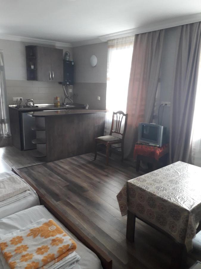 Apartament Ninati Borjomi ภายนอก รูปภาพ